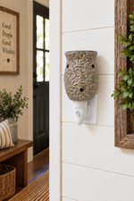 Plug In Warmer - Succulent